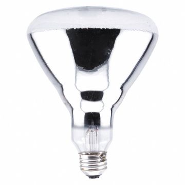 Incandescent Bulb 120VAC 250W 2000 lm