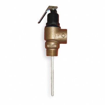 T and P Relief Valve FNPT 1-1/2 In Inlet