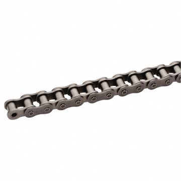 Roller Chain 10ft Riveted Pin SS