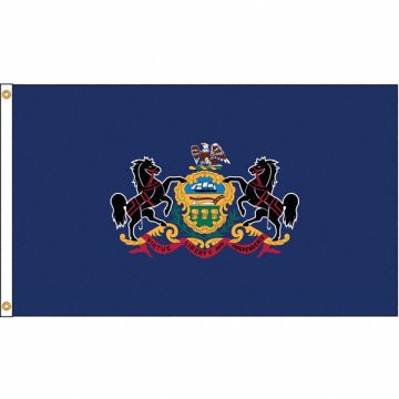 D3772 Pennsylvania Flag 5x8 Ft Nylon