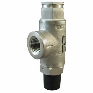 Safety Relief Valve 1/2 In 25 psi SS