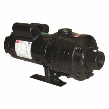 Booster Pump 1HP 1 Phase 115/230V AC