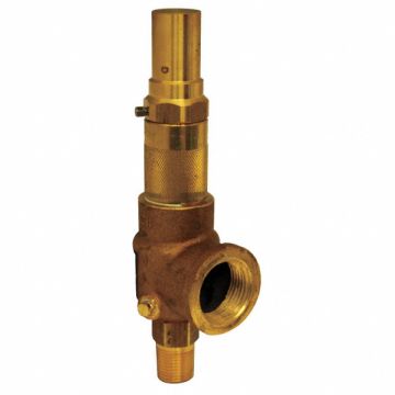 D4491 Safety Relief Valve 1/2 x 1 In 150 psi
