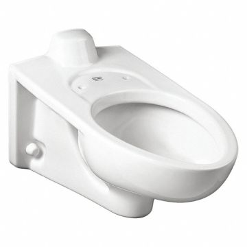 Bedpan Holding ToiletBowl Elongated Wall
