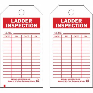 Lad Inspection Tag 5-3/4 x 3 In PK10