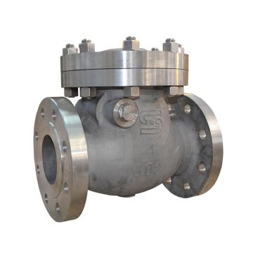 Valve, Check, Bolted Cover Swing, 3/4", 150#, Flanged FF, RP, C95800/C95800/Body Seat,