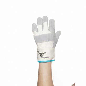 Cut Resistant Gloves Gray/White 2XL PR