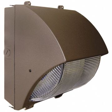 Wall Pack Induction 40 W 120 V