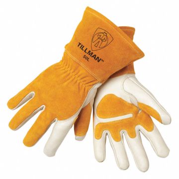 D6152 Gloves PR