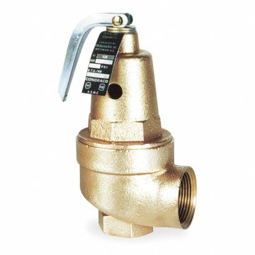 Safety Relief Valve 1-1/2 In 125 psi