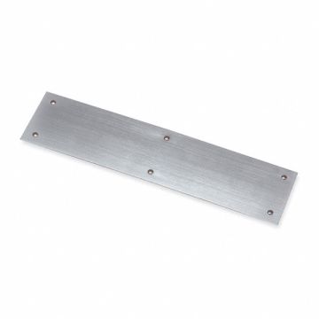 Push Plates SS Dull 316 3 x12 In