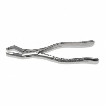 Dental Extracting Forceps #53R