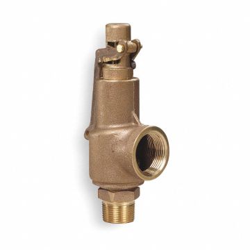 D4513 Safety Relief Valve 1 x 1-1/4 In 100 psi