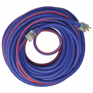 Extension Cord 10 AWG 125VAC 100 ft L