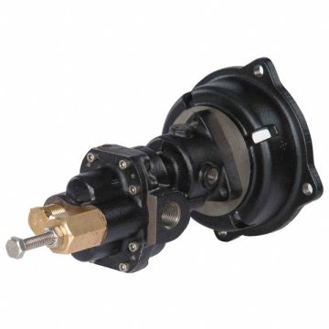 Rotary Gear Pump Head 3/8 in 3/4 HP