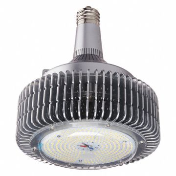LED Bulb Mogul Screw (EX39) 5000K 135W