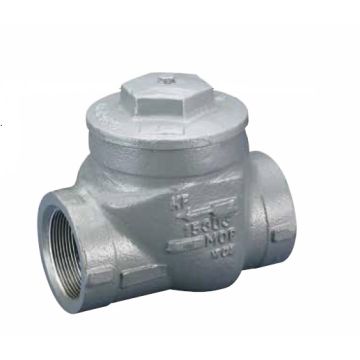 Valve, Check, Threaded Cover Swing, 2", 1500 psi, FNPT, RP, DI/DI/Metal Seated/Buna N,