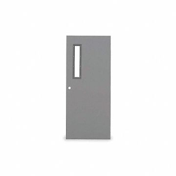 D3646 Narrow Light Steel Door 84x30 In