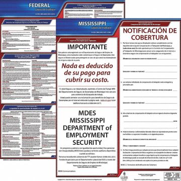 Labor Law Poster Kit MS Spanish 19 in W