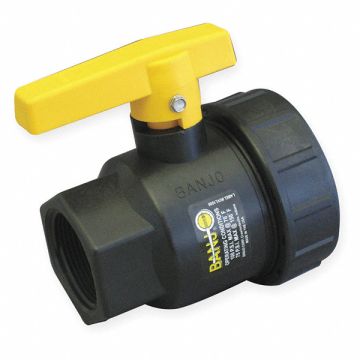 Poly Ball Valve Union FNPT 2 in