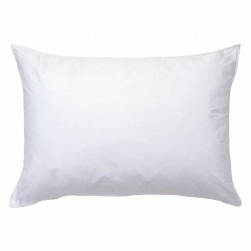 Pillow Jumbo 20x28 in Pk10