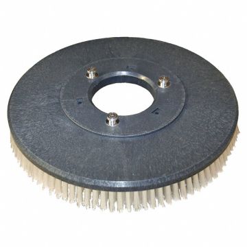 Scrubber Brush