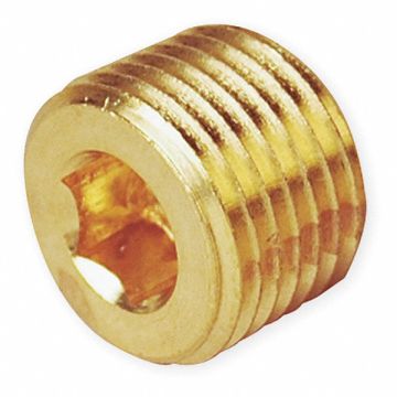 Hollow Hex Head Plug Bright Brass 1/8 in