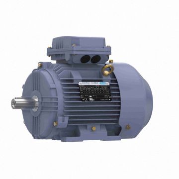 IEC Motor 10 HP 230/460V AC