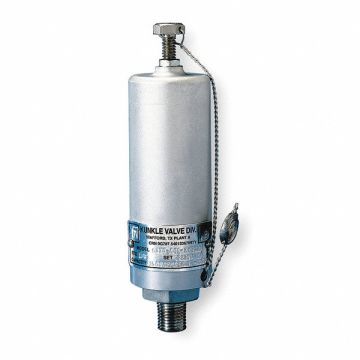 Safety Relief Valve 1/4 In 4500 psi Alum