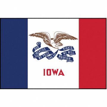 D3761 Iowa State Flag 3x5 Ft