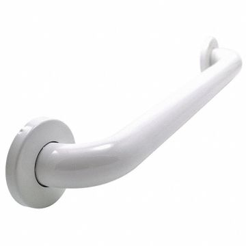 Grab Bar SS Painted 18 in L