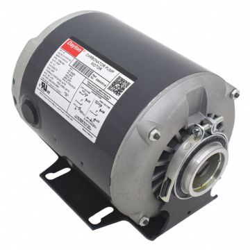 Rotary Gear Pump 1/3 HP 120/240V