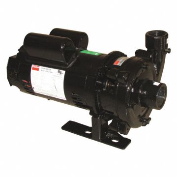 Booster Pump 1HP 1 Phase 115/230V AC