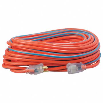 Extension Cord 12 AWG 125VAC 100 ft L