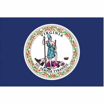 D3761 Virginia State Flag 3x5 Ft