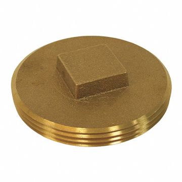 Cleanout Plug Brass 3-1/2 Raised Head