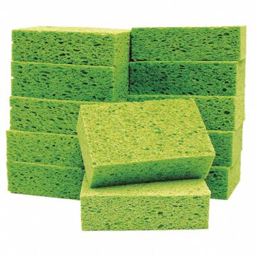Sponge 5 3/4 in L Green PK60