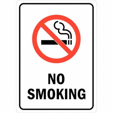 No Smoking Sign 14 inx10 in Aluminum