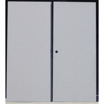 Flush Double Door Type CE Steel PK2