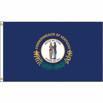 D3771 Kentucky Flag 4x6 Ft Nylon