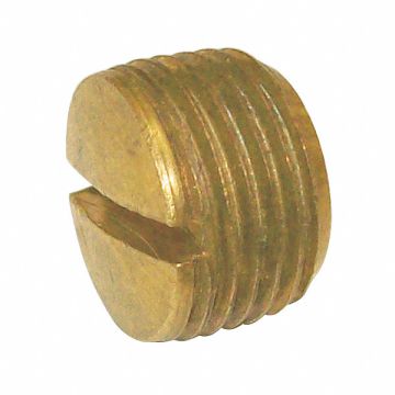 Slotted Plug Brass 1/4 In MNPT