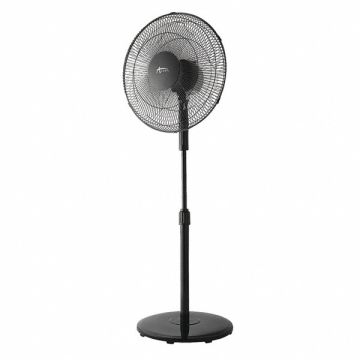 Oscillating Pedestal Fan 16 3-Speed Blk