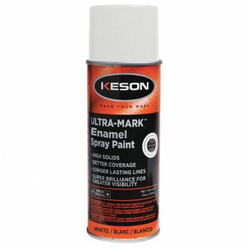 Spray Paint White 15 min. 13 oz net