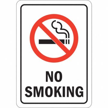 No Smoking Sign 10 inx7 in Aluminum
