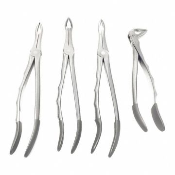 Root Tip Extraction Forceps Set of 4