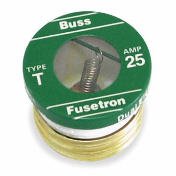 Plug Fuse T Series 2A PK4