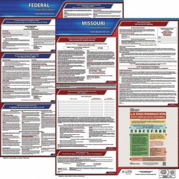 Labor Law Poster Fed/STA MO SP 20inH 3yr